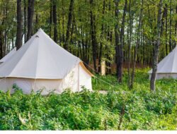 7 Spot Glamping Hidden Gem Terbaik di Indonesia