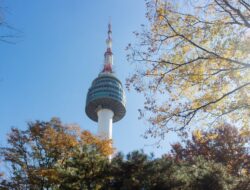 WNI Bakal Bebas Visa Korea Selatan? Ini Bocoran Syarat Terbarunya