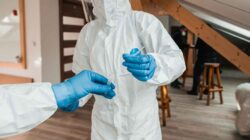 Apa Itu Hantavirus, Sama dengan COVID-19? Ini Penjelasannya